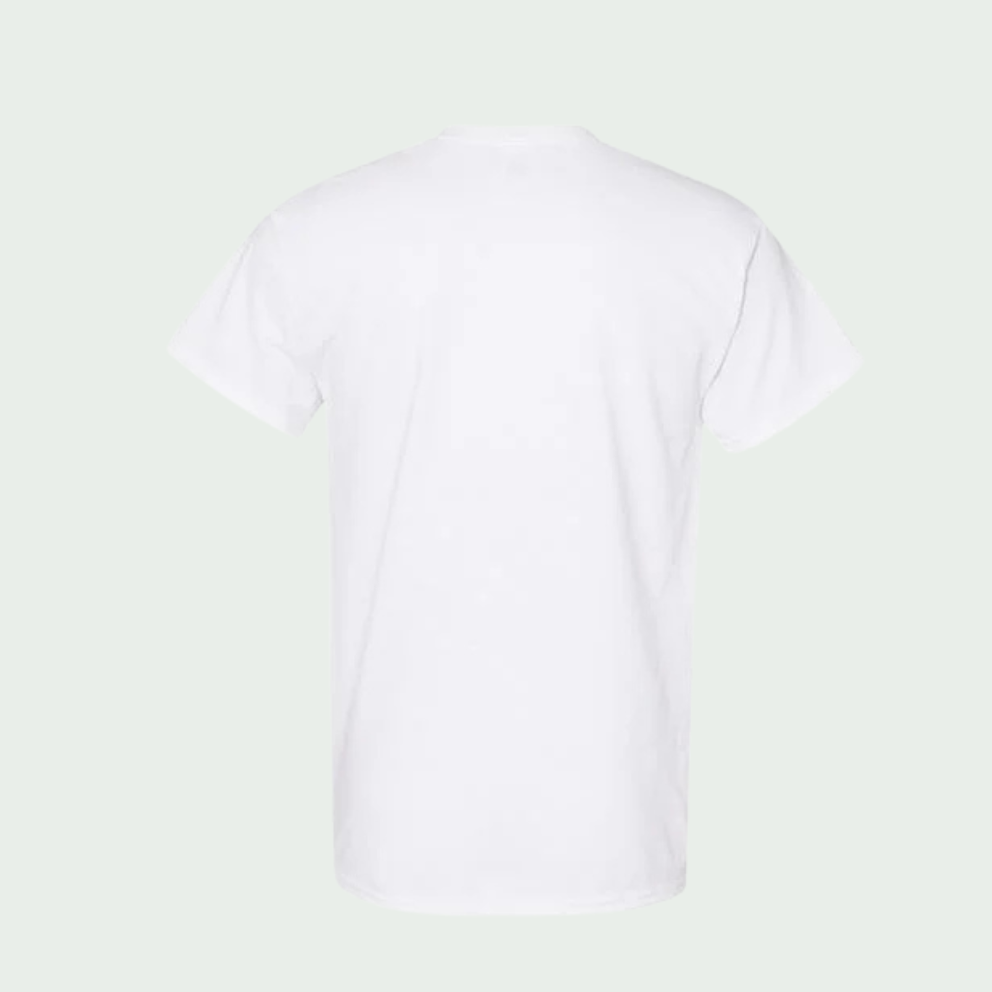 White t-shirt on a light green background