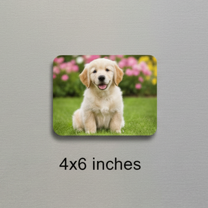 Fridge magnet with a dog on a grassy background attached to a refrigerator.