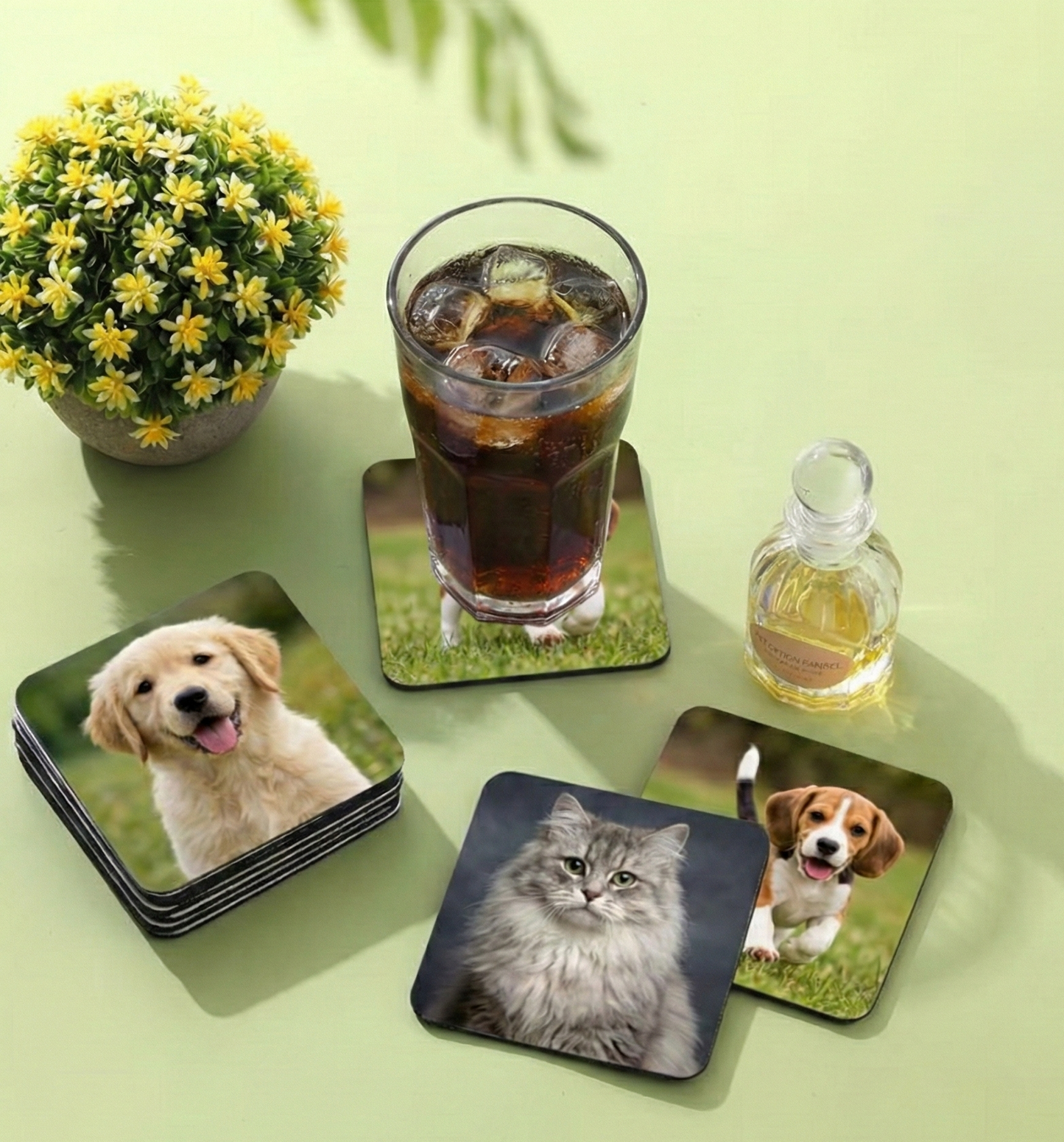 Set of coasters with animal prints on a green surface with a drink and plant.