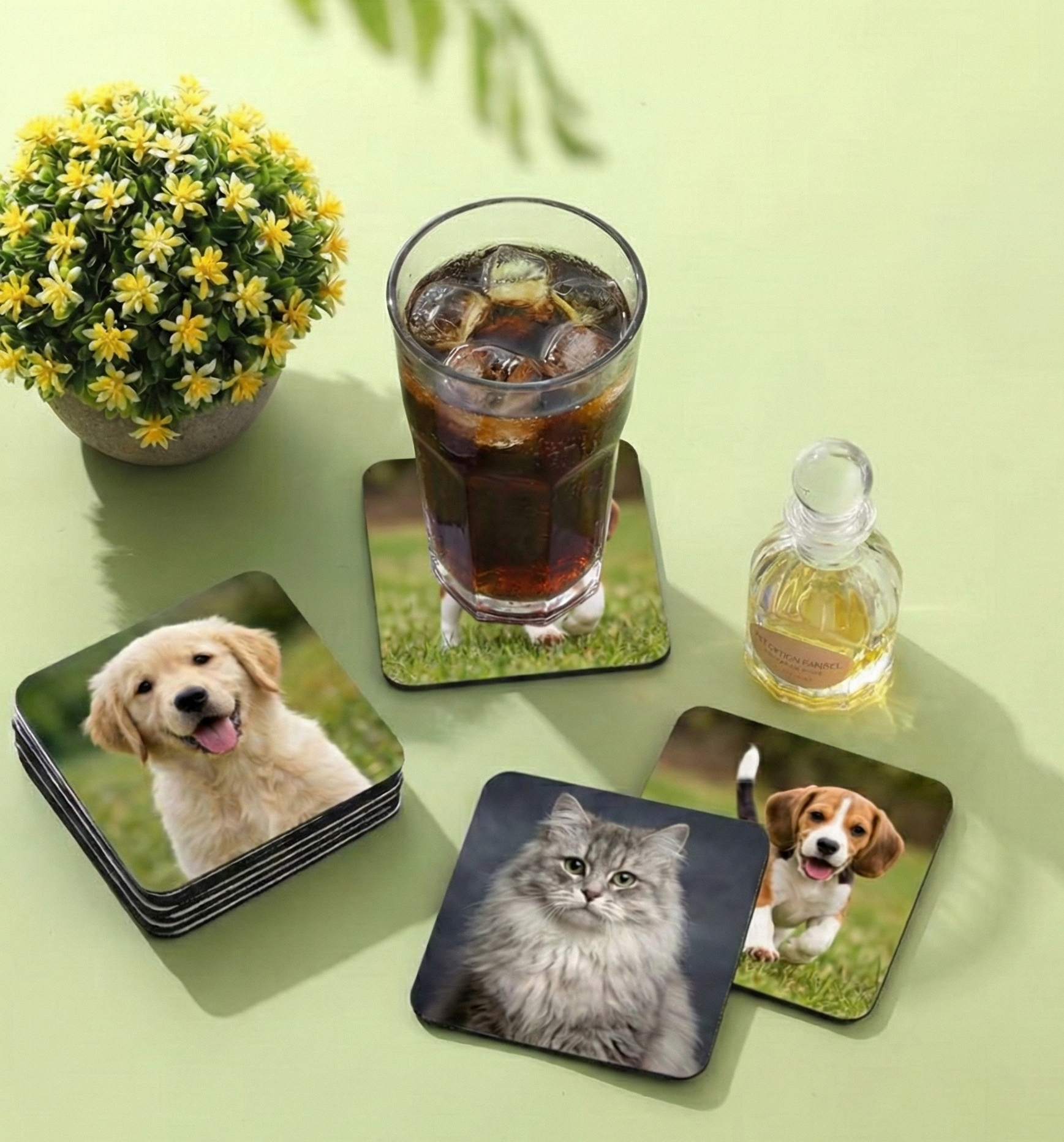 Set of coasters with animal prints on a green surface with a drink and plant.