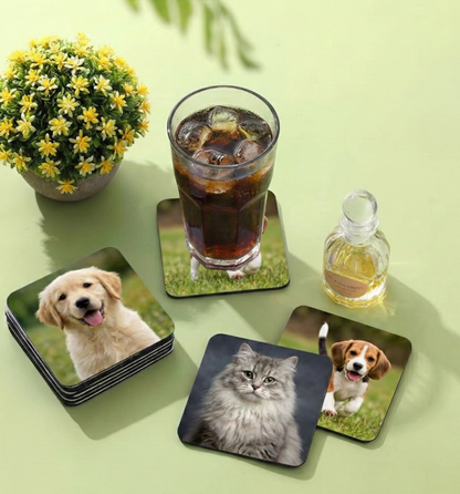 Set of coasters with animal prints on a green surface with a drink and plant.